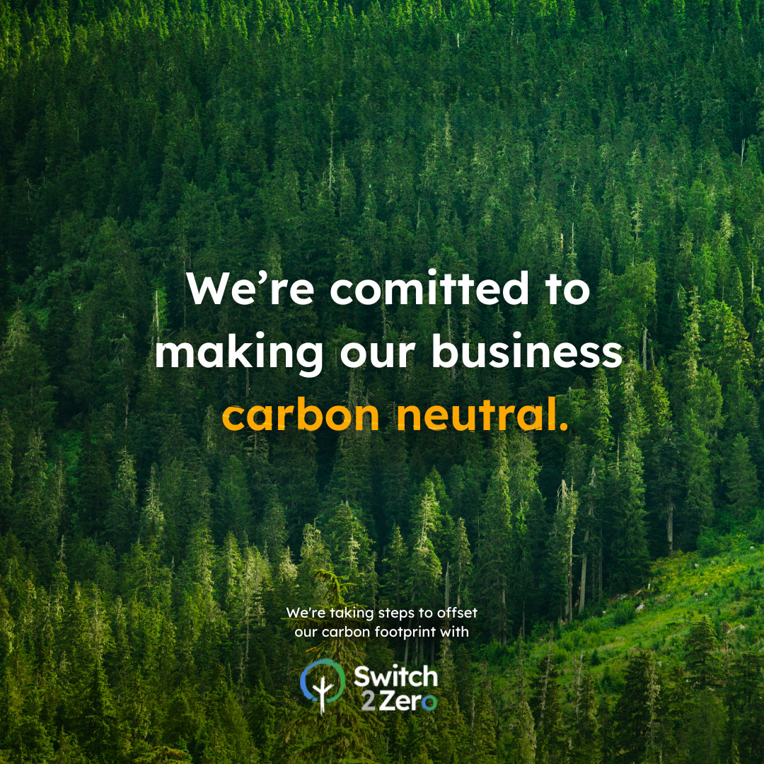 A lush forest representing Gymathlete’s commitment to becoming carbon neutral through the Switch2Zero initiative, supporting reforestation, carbon sequestration, and biodiversity conservation in the world